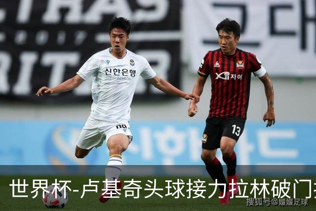 世界杯-卢基奇头球接力拉林破门扳平 加拿大1-1波黑